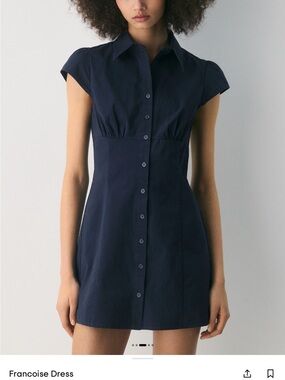 Aritzia Francoise Mini Dress